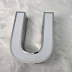 Custom Trim Cap Channel Letters|Silver Mirror Finish Letters|Business Indoor&Outdoor Signage