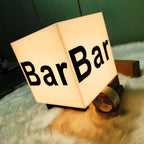 Custom Illuminated Acrylic Light Box Sign| Outdoor Advertising Lighted Signs
