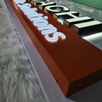 Dual-Lit LED Channel Letters | Custom Outdoor Retail Store Signage