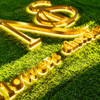Custom LED Gold Mirror backlit Channel Letters |Illuminated Company Logo Sign