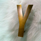 Custom 3D  Metal Letters | Brushed Metal Sign|Luxury Letter Sign