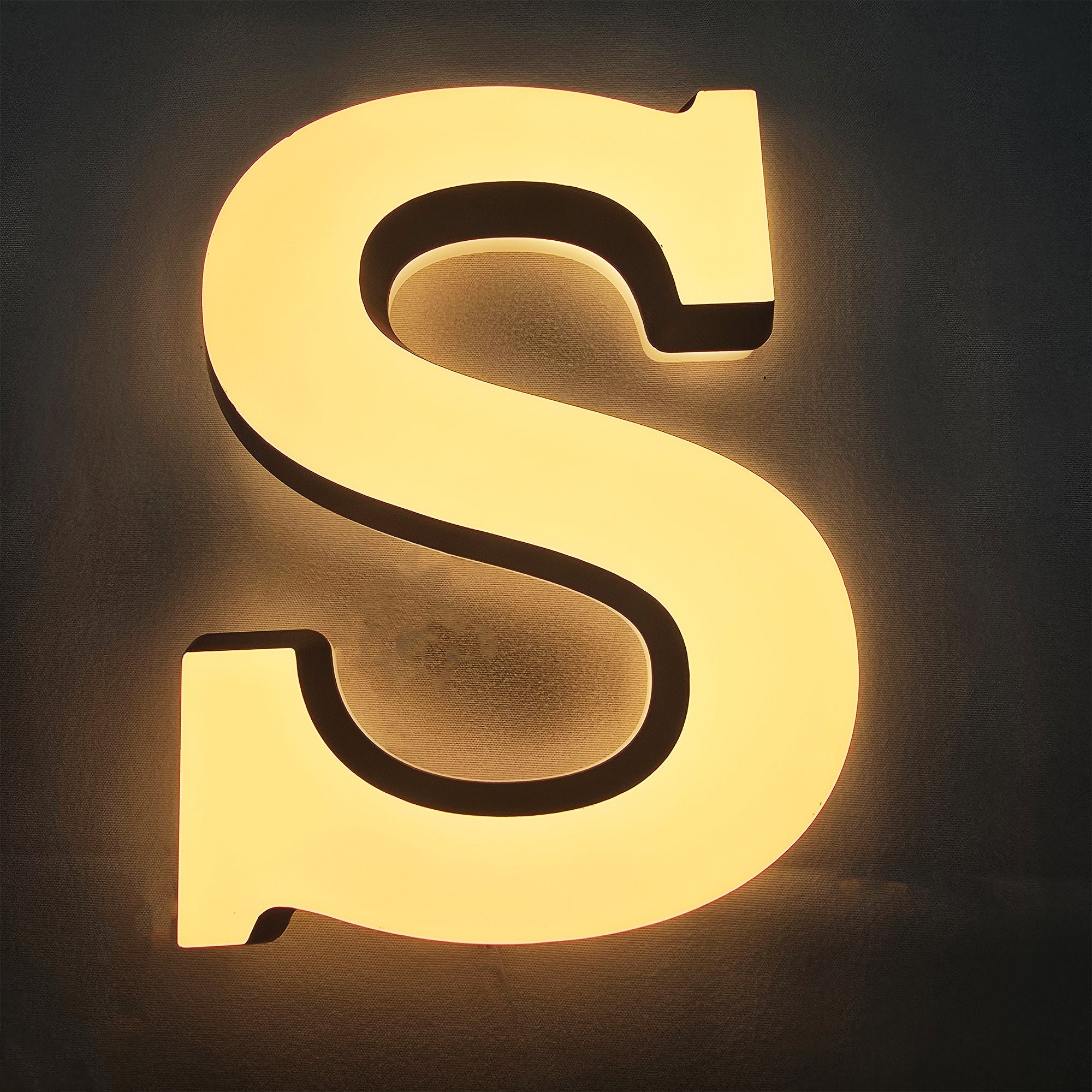 Custom Dual-Lit Acrylic Letter |LED Sign| Indoor & Outdoor Commercial Logo