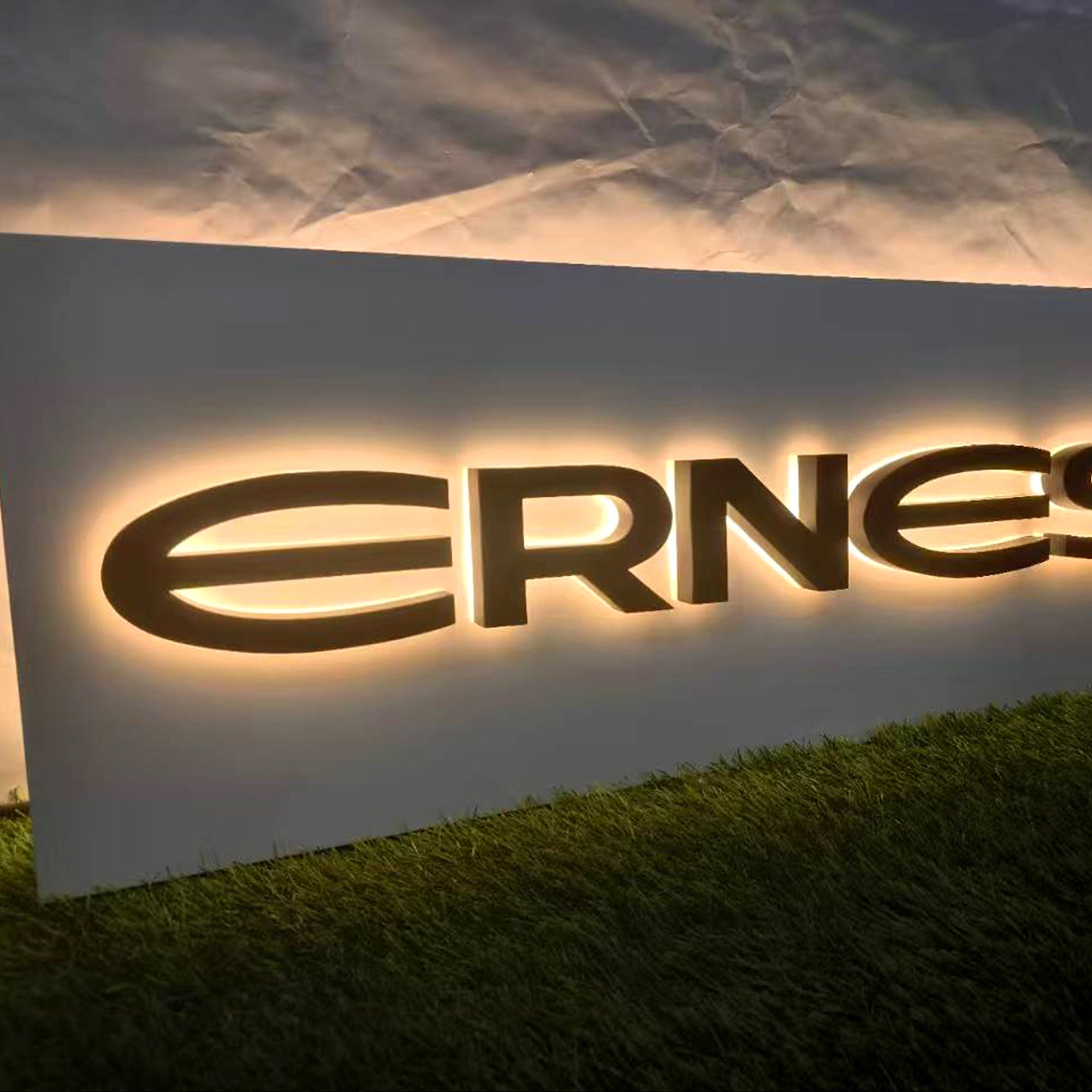 Custom 3D Metal Backlit Letters with Panel | LED Storefront Wall Logo Sign