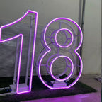 Foldable Metal Neon Marquee Number 18 Portable LED Event Display