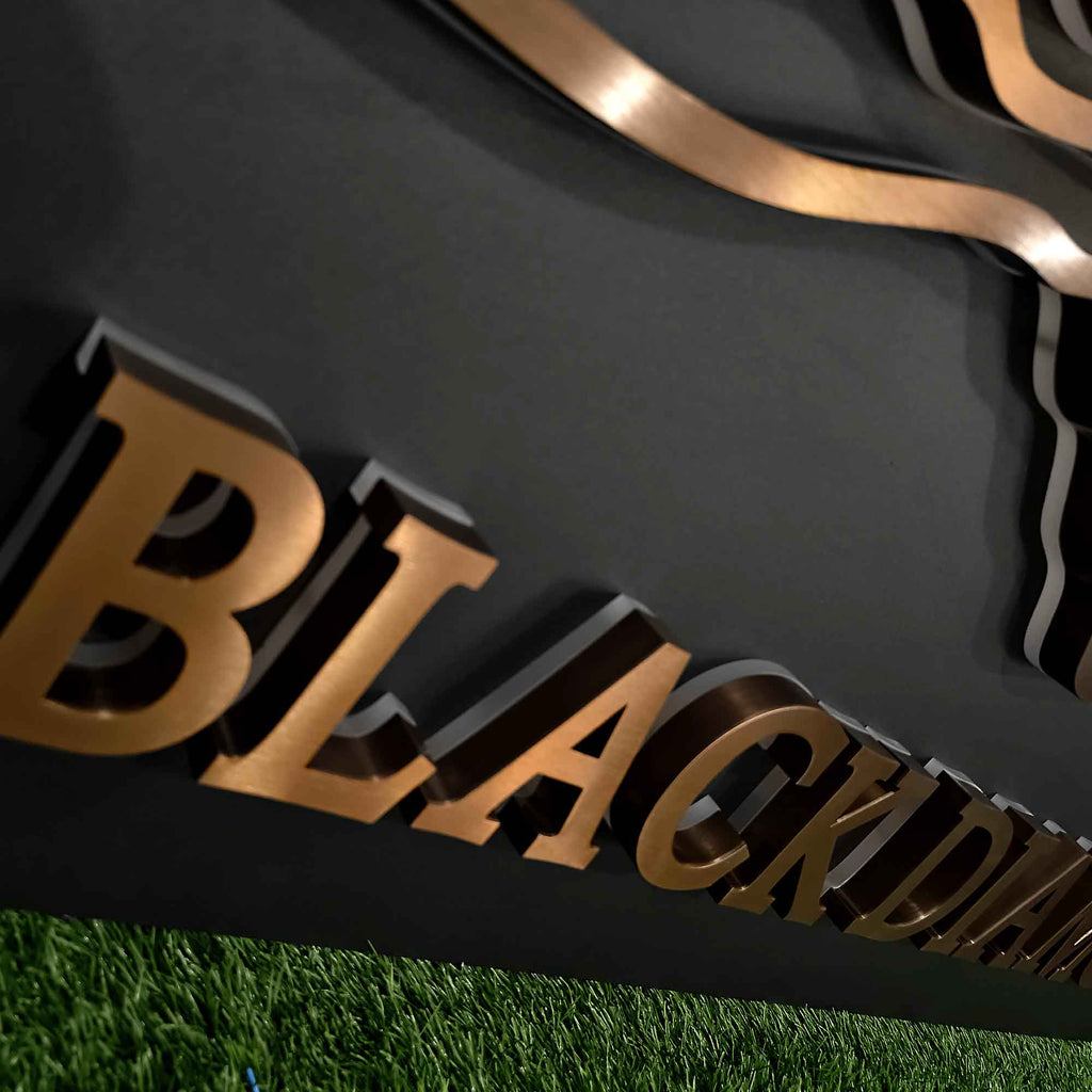 Custom Backlit Channel Letters Panel 3D Metal Halo Lit Logo Sign Indoor Outdoor Business Store Front Wall Signage