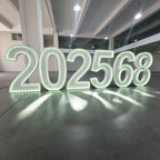 Custom RGB LED Neon Marquee Numbers for Events & Celebrations